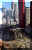4wtc_vertical.jpg (25247 bytes)